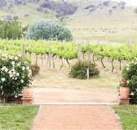 Brindabella Hills Winery - Accommodation Cairns