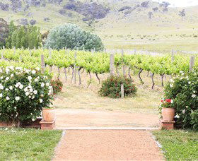 Brindabella Hills Winery - Accommodation Cairns 0