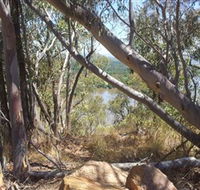 Black Mountain - Accommodation Cairns