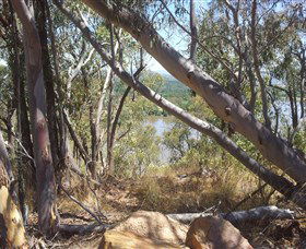 Black Mountain - Accommodation Cairns 0