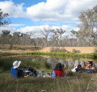 Canberra Nature Park - Accommodation Cairns