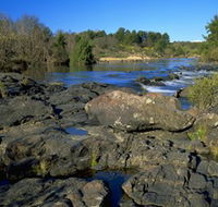 Pine Island to Point Hut Reserve - Accommodation Cairns