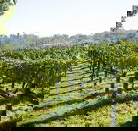 Surveyor's Hill Vineyards - Accommodation Cairns