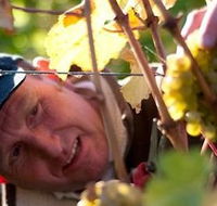 Puddleduck Vineyard - Accommodation Cairns