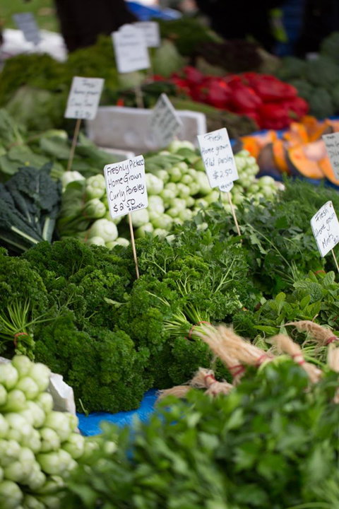 Salamanca Market - Accommodation Cairns 5