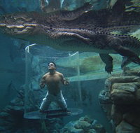 Crocosaurus Cove - Accommodation Cairns