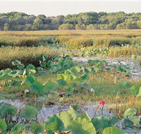 Fogg Dam Conservation Reserve - Accommodation Cairns
