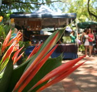 Nightcliff Markets - Accommodation Cairns