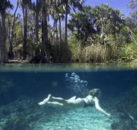 Bitter Springs - Accommodation Cairns