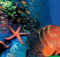 Indo Pacific Marine - Accommodation Cairns