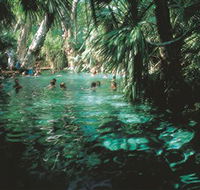 Mataranka Thermal Pool - Accommodation Cairns