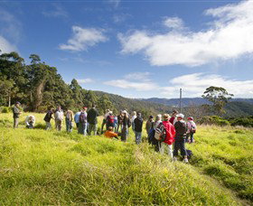 Austinville QLD Accommodation Cairns