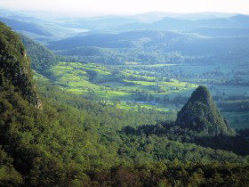 Springbrook Plateau, Springbrook National Park - Accommodation Cairns 0