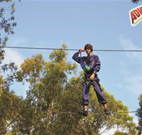 Adventure Parc at Currumbin Wildlife Sanctuary - Accommodation Cairns
