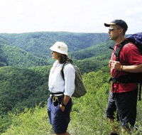 Sunshine Coast Hinterland Great Walk - Accommodation Cairns