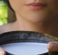 Ikatan Day Spa - Accommodation Cairns