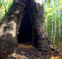 Tewantin National Park - Accommodation Cairns