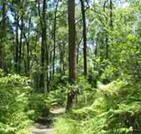 Mapleton Falls National Park - Accommodation Cairns