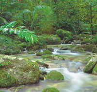 Mossman Gorge Daintree National Park - Accommodation Cairns