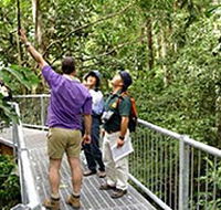 Daintree Discovery Centre - Accommodation Cairns