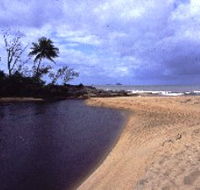 Russell River National Park - Accommodation Cairns