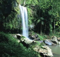 Curtis Falls Joalah Section - Accommodation Cairns