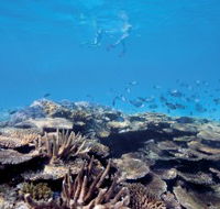 Australian Institute of Marine Science - Accommodation Cairns