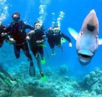 Gotham City Dive Site - Accommodation Cairns
