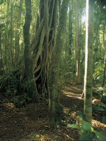  Accommodation Cairns
