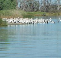 Lake Ross - Accommodation Cairns