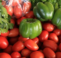 Burleigh Heads Markets - Accommodation Cairns