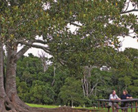 Wutul QLD Accommodation Cairns