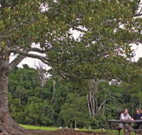 Ravensbourne National Park - Accommodation Cairns