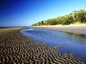 Kinkuna Section - Accommodation Cairns 0