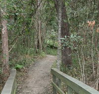 Springwood Conservation Park - Accommodation Cairns