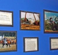 Town Hall Photographic Display - Accommodation Cairns