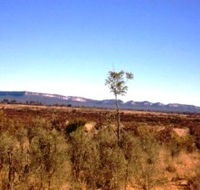 Tambos Wilderness Way - Accommodation Cairns