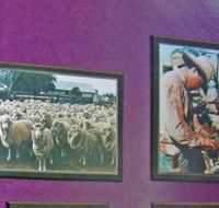 Charleville Photographic Display - Accommodation Cairns