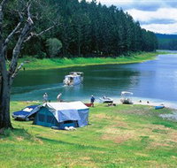 Danbulla National Park and Danbulla State Forest - Accommodation Cairns