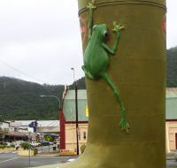 Golden Gumboot - Accommodation Cairns