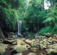 Tamborine National Park - Accommodation Cairns