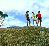 Coongarra Rock - Accommodation Cairns