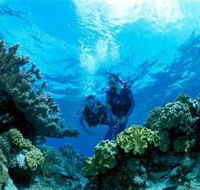 Coral Gardens Dive Site - Accommodation Cairns