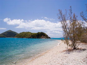 Shute Harbour QLD Accommodation Cairns