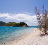 Paddle Bay Track and Campsite - Accommodation Cairns