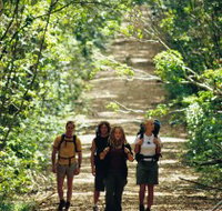 Wet Tropics Great Walk - Accommodation Cairns