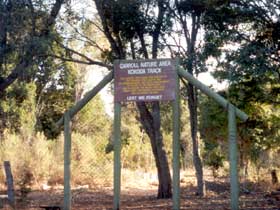Carroll Nature Reserve Kokoda Track - Accommodation Cairns 0