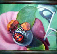 Kingaroy Shire Art Gallery - Accommodation Cairns