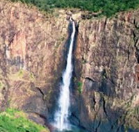 Gugigugi Butterfly Walk Wet Tropics Great Walk - Accommodation Cairns