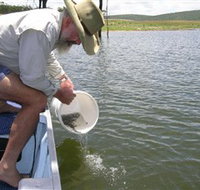 Eungella Dam - Accommodation Cairns